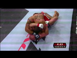 fedor emelianenko vs antonio silva 02/12/2011 most recent fight