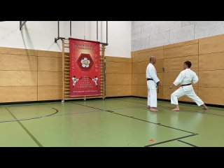 kumite 8 cu. karate-do kwai.