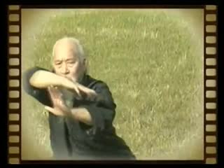 master lu zijiang born in 1893 bagua is a form of tai yi bagua men.