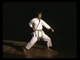 masao kawazoe - basic shotokan karate technique