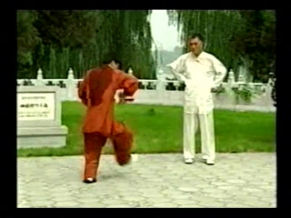 bagua master 2006 1(1)