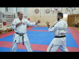martial nerds---koshiki karate
